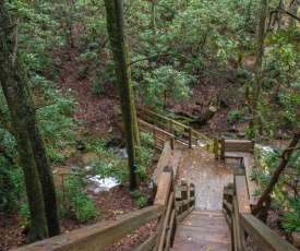 Creekside