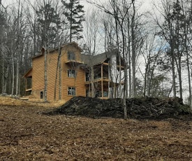 Da Bears Cabin