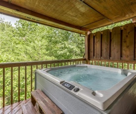 Goldilocks and Her 3 Bears Hot Tub Nearby Dollywood Mountain Views and HOA Pool