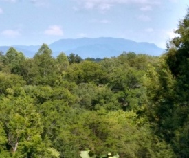 Heavenly Mountain View
