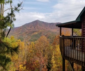 Majestic Views, 4 Bedrooms, Pool Access, Hot Tub, Sleeps 12