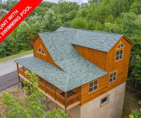 Mountain Bearadise cabin