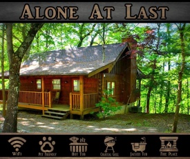 Priscilla Heights Lane Cabin 3210