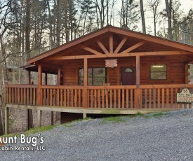 Secret Hideaway #195 by Aunt Bug's Cabin Rentals