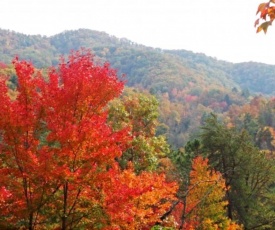 Treetops
