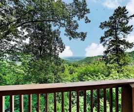 View Cabin with Hot Tub, Sauna, Theater & Pool! cabin
