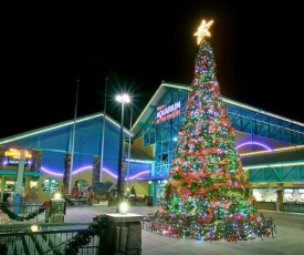 Big Bear Lodge Holiday home