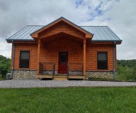 Sapphire Bear - 2 Bedrooms, 1 Baths, Sleeps 4 home