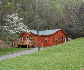 Black Bears Den