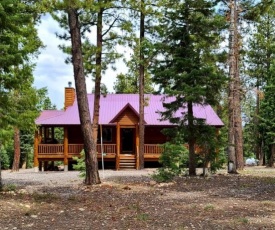 Duck Creek Mountain Cabin