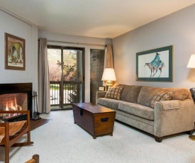Mountain Condo 1530