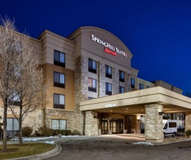 SpringHill Suites by Marriott Salt Lake City Downtown