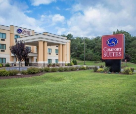 Comfort Suites Lewisburg