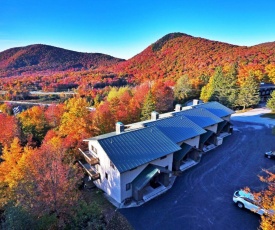 Charming Townhome Pico Mtn Ski-In and Ski-Out Access!