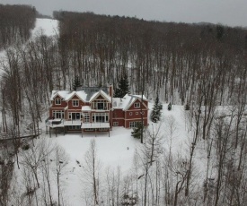 Luxury 6Br Solitude Village- Indoor Bball Court, Private Tub Home